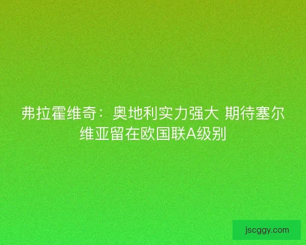 弗拉霍维奇：奥地利实力强大 期待塞尔维亚留在欧国联A级别